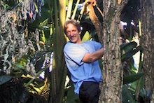 Russell Messing in a tree